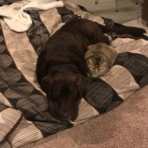 Meet your Posher, Sandi